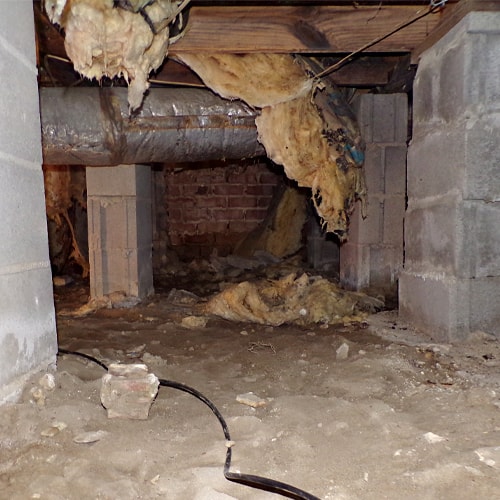 Dehumidifying you crawl space is important to your homes health