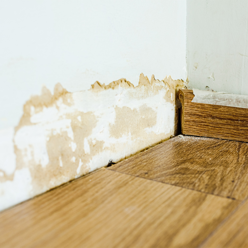 Wet floor boards saggy floors show signs of MOLD
