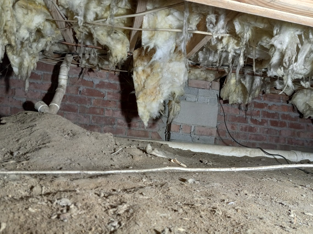 Crawl space insulation failing dude to years of gravity and moisture 